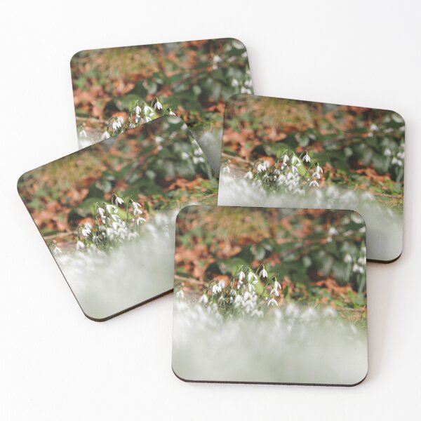 Item preview, Snowdrops  designed and sold by GreyFeatherPhot.