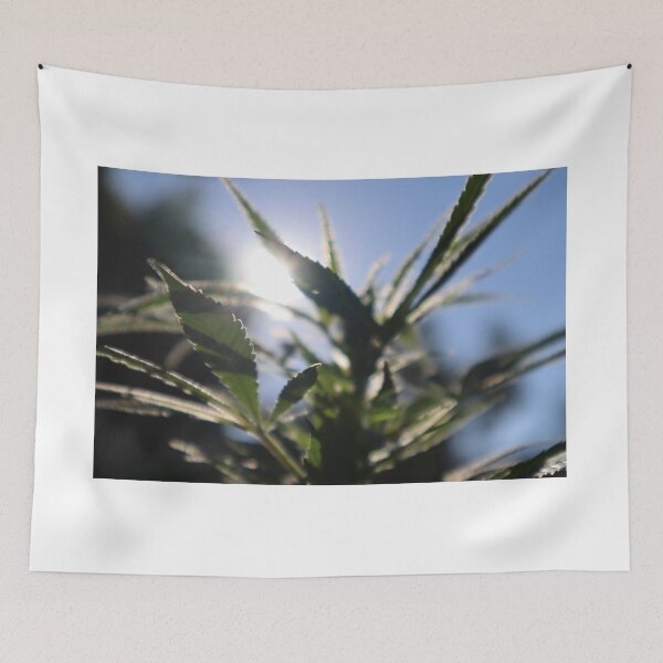 Item preview, Leafy Sunshine designed and sold by Latertia.