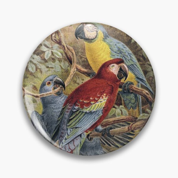 Item preview, Macaws designed and sold by redoARTstore.