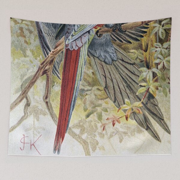 Item preview, Macaws designed and sold by redoARTstore.