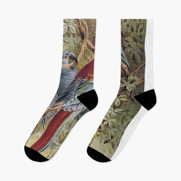 Item preview, Macaws designed and sold by redoARTstore.