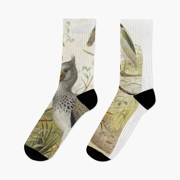 Item preview, Night-Heron and Boatbill designed and sold by redoARTstore.