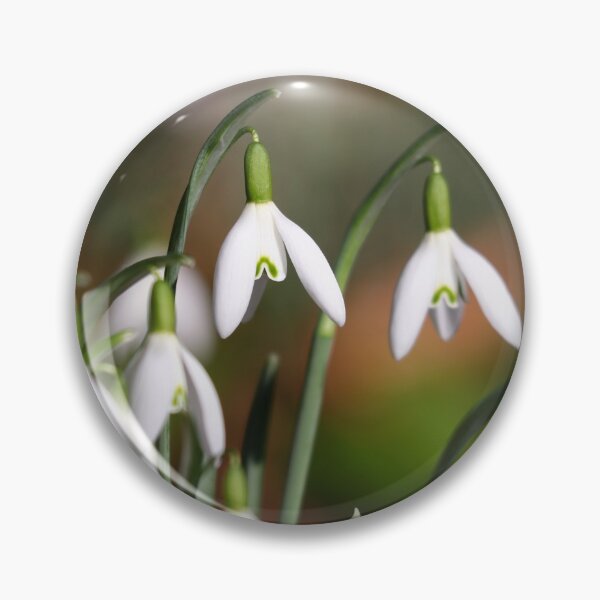Item preview, Sunshine & snowdrops designed and sold by GreyFeatherPhot.