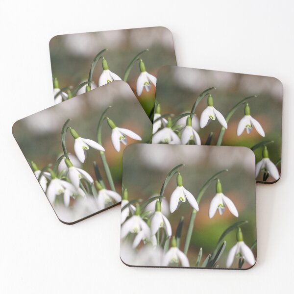 Item preview, Sunshine & snowdrops designed and sold by GreyFeatherPhot.