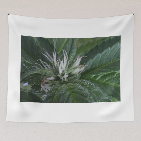 Item preview, Pistils designed and sold by Latertia.
