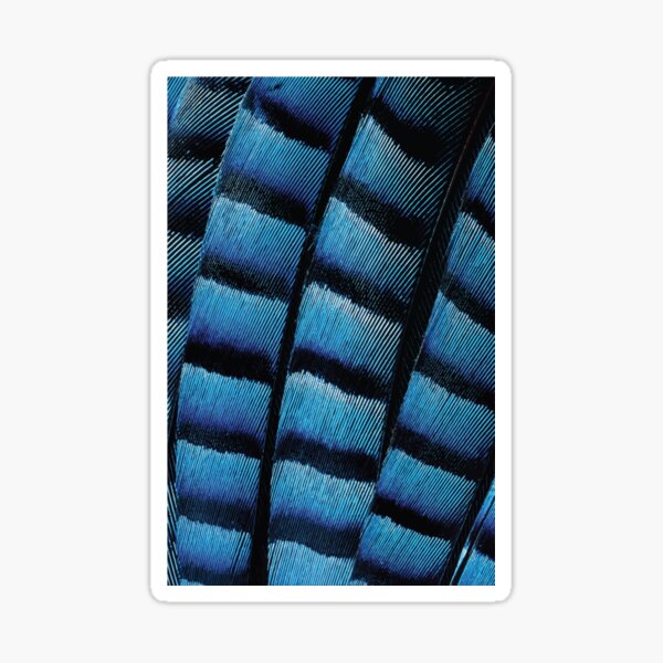 jay blue fiber optical Sticker
