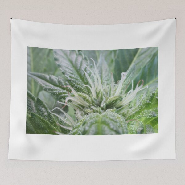 Item preview, Crystal Pistils designed and sold by Latertia.