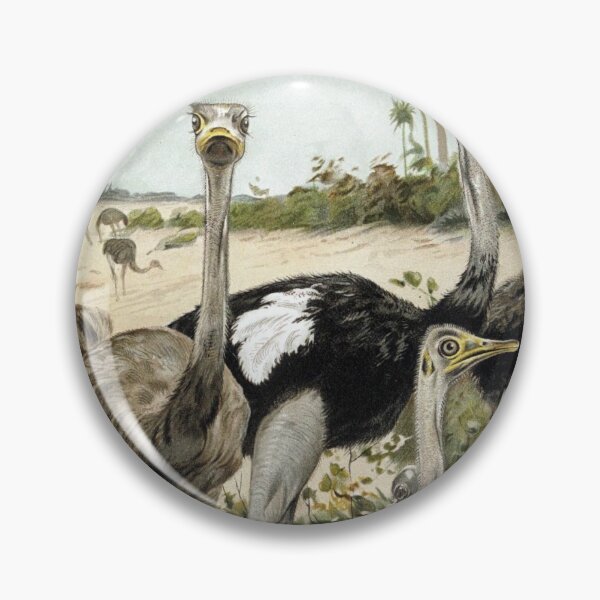 Item preview, Ostriches designed and sold by redoARTstore.