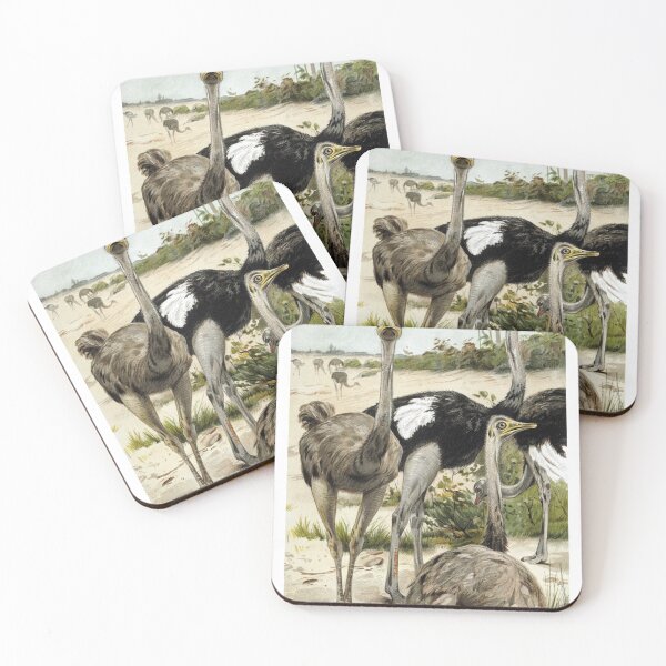 Item preview, Ostriches designed and sold by redoARTstore.
