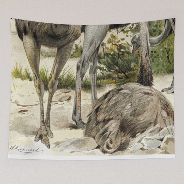 Item preview, Ostriches designed and sold by redoARTstore.