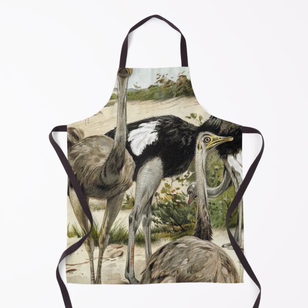 Item preview, Ostriches designed and sold by redoARTstore.