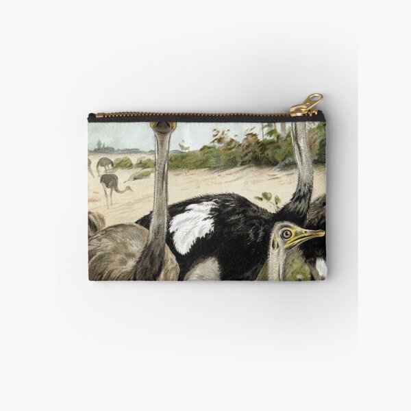 Item preview, Ostriches designed and sold by redoARTstore.