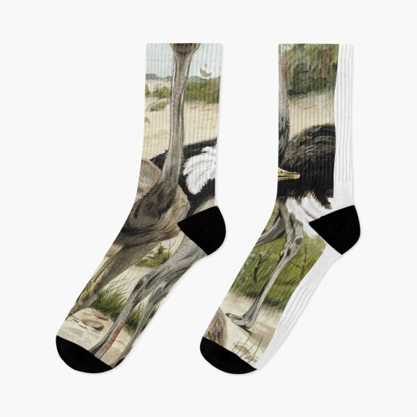 Item preview, Ostriches designed and sold by redoARTstore.
