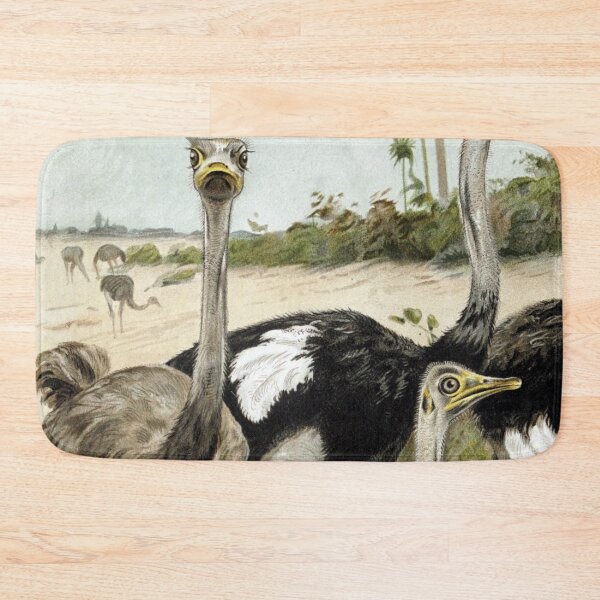 Item preview, Ostriches designed and sold by redoARTstore.