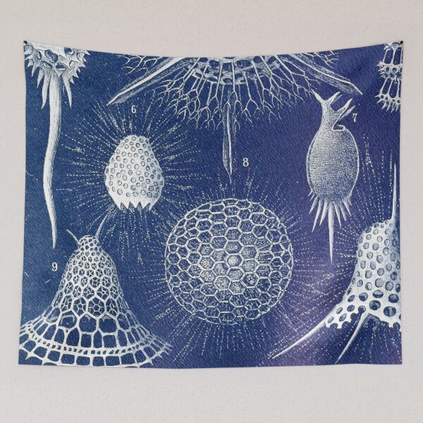 Item preview, Radiolarians designed and sold by redoARTstore.