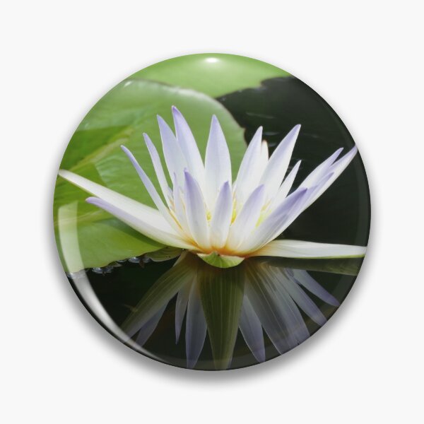 Item preview, White Water Lily Reflecting on Pond Water designed and sold by PaulinaS.