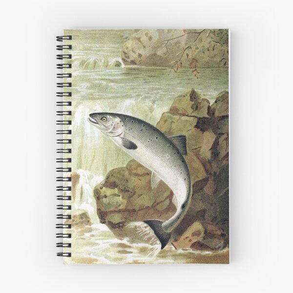 Item preview, A Salmon Leap designed and sold by redoARTstore.