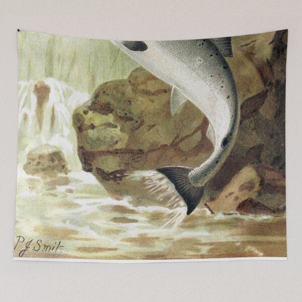 Item preview, A Salmon Leap designed and sold by redoARTstore.