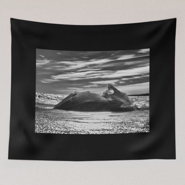 Item preview, Rising higher bw designed and sold by Jouko Lehto Photography.