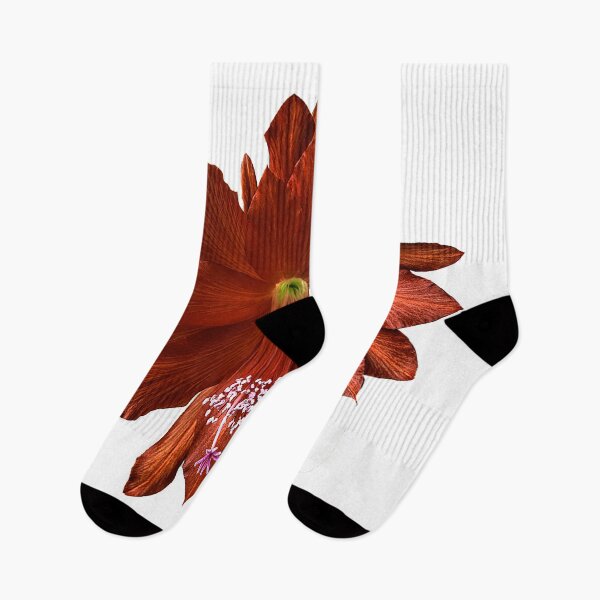 Item preview, Red Orchid Cactus in Bloom designed and sold by Bryan Spellman.