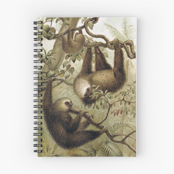 Item preview, Two Toed Sloth designed and sold by redoARTstore.