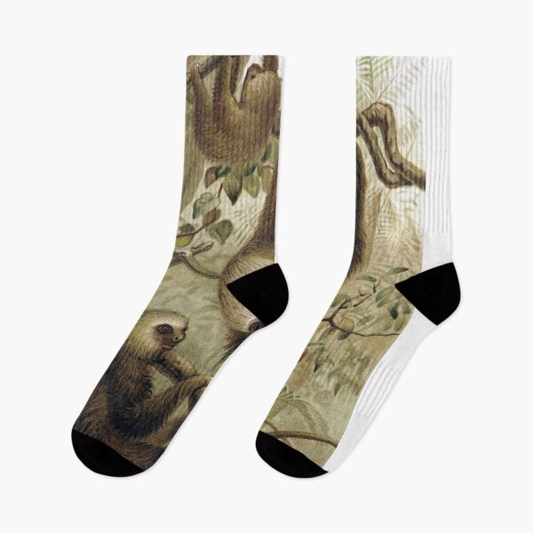 Item preview, Two Toed Sloth designed and sold by redoARTstore.