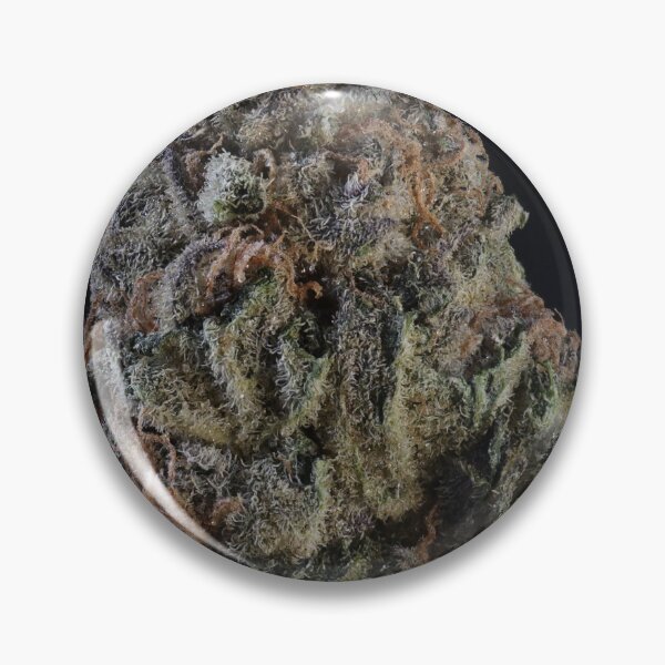 Artikelvorschau, Indica Stimmung entworfen und verkauft von Latertia.