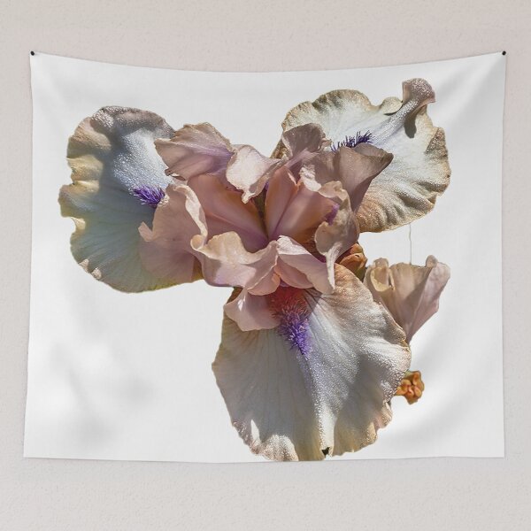 Item preview, Mauve Iris for Mother's Day designed and sold by Bryan Spellman.