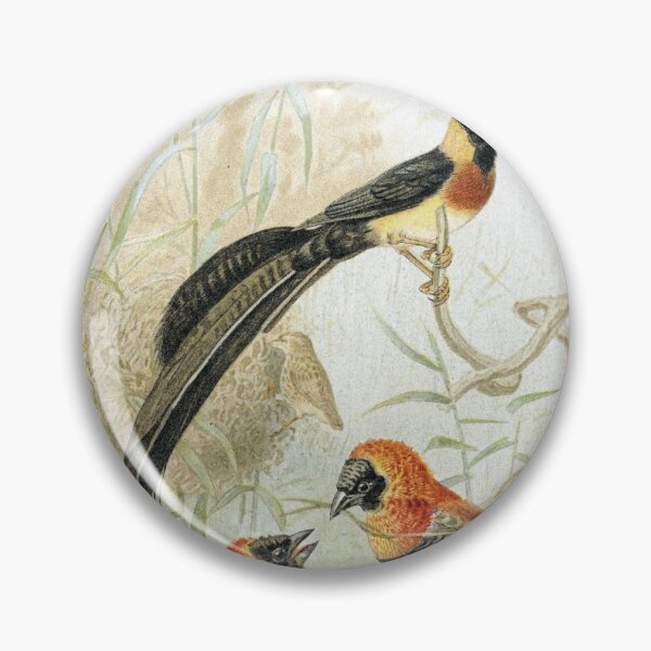 Item preview, Weaver Birds designed and sold by redoARTstore.