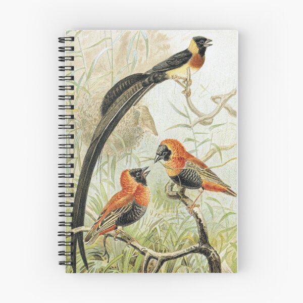 Item preview, Weaver Birds designed and sold by redoARTstore.