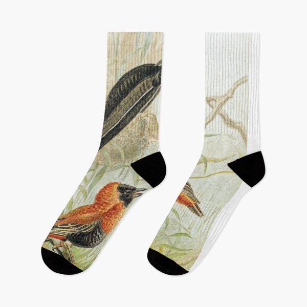 Item preview, Weaver Birds designed and sold by redoARTstore.