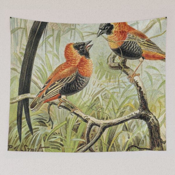 Item preview, Weaver Birds designed and sold by redoARTstore.