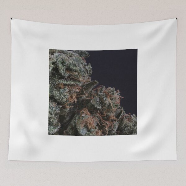 Item preview, Reserved designed and sold by Latertia.