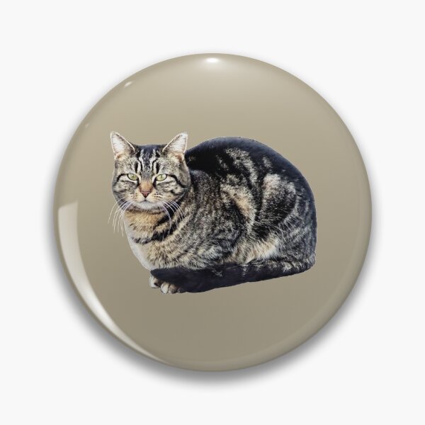 Artikelvorschau, Tabby Cat Sitting entworfen und verkauft von Susan Savad.