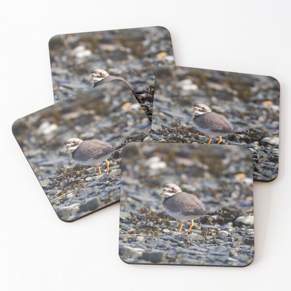 Item preview, Ringed plover designed and sold by GreyFeatherPhot.