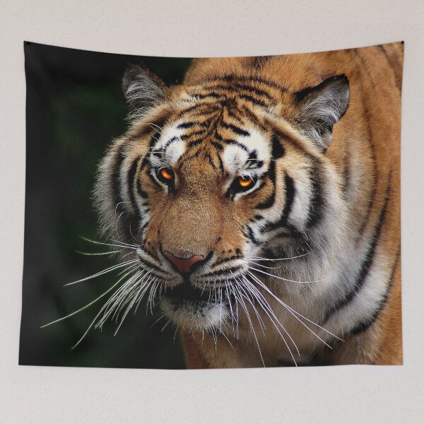 Item preview, Tiger designed and sold by cherylorraine.