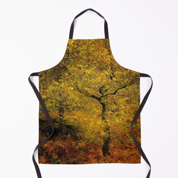 Artikelvorschau, Herbstbäume entworfen und verkauft von Martyn R Arnold Fine Art Nature & Landscape Photography.