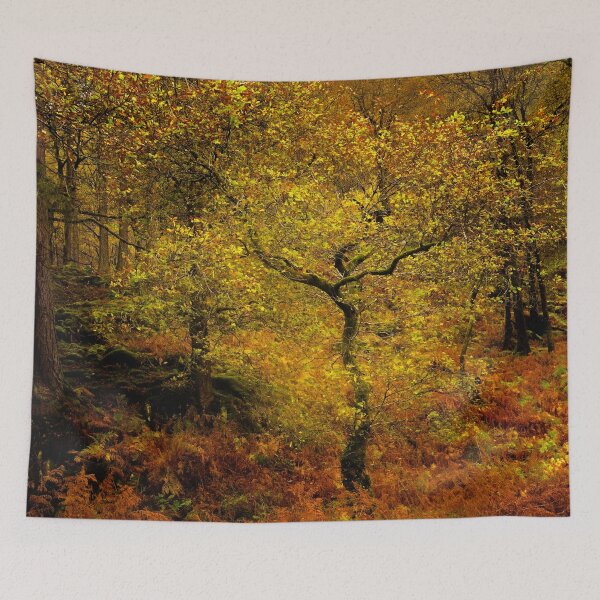 Item preview, Autumn Trees designed and sold by Martyn R Arnold Fine Art Nature & Landscape Photography.