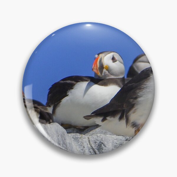 Item preview, Puffin buds just chilling out together designed and sold by rosiebeeston.