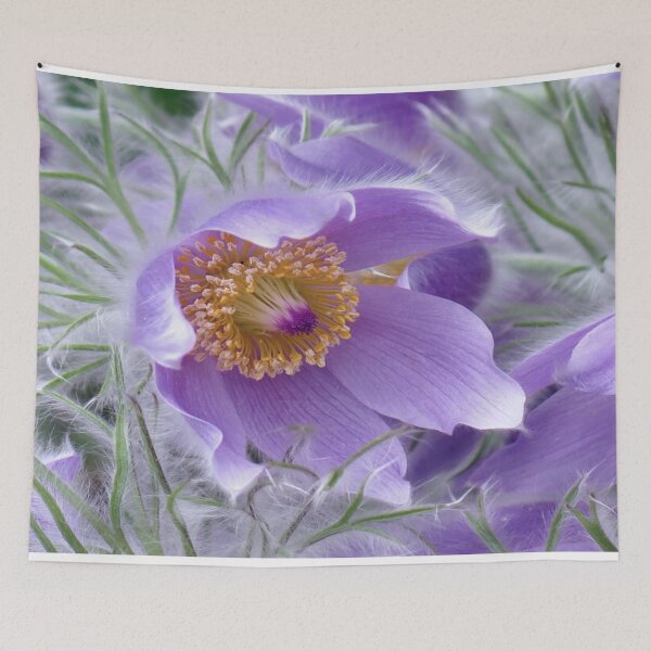 Item preview, EASTERN PASQUE LILAC FLOWER designed and sold by JACQUELINE MCKENZIE.