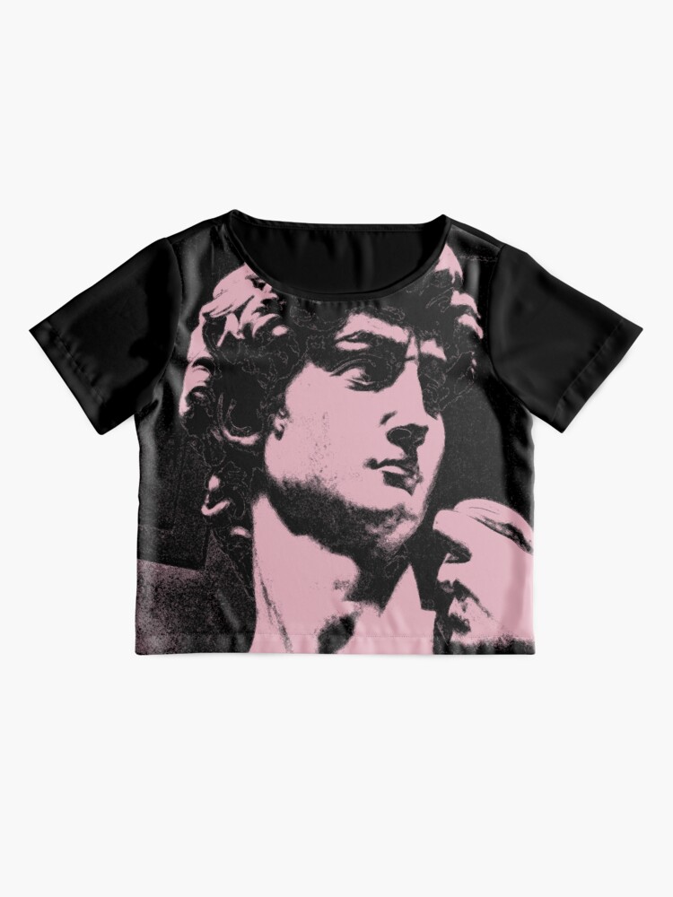 michelangelo david t shirt