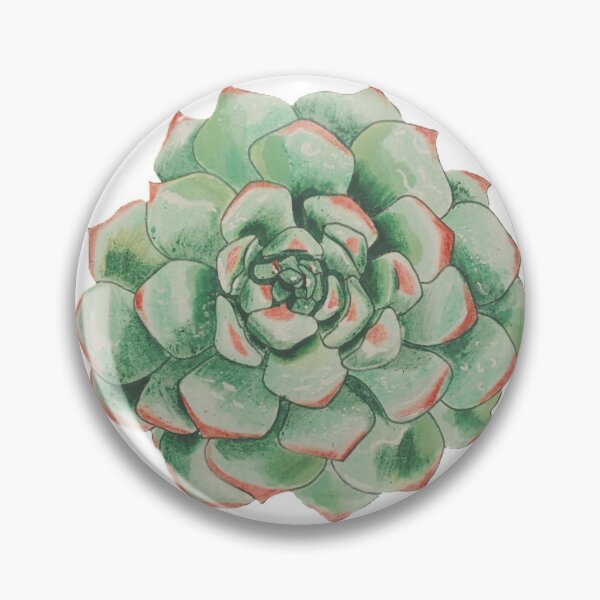 Item preview, Echeveria designed and sold by Emmajurv.