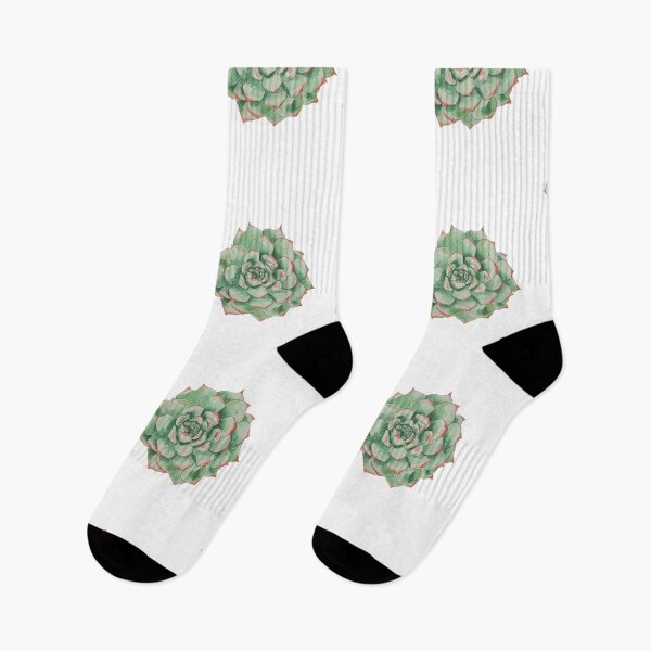 Item preview, Echeveria designed and sold by Emmajurv.