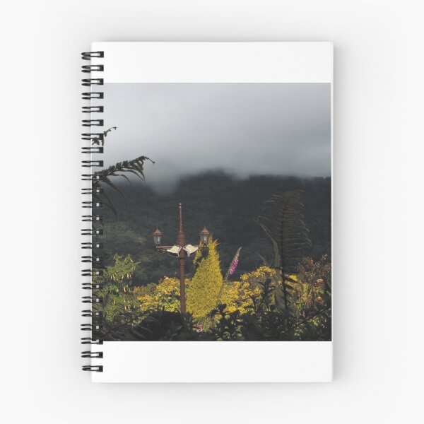 Item preview, Gorgeous Garden View at Monserrat Hill in Bogotá, Colombia designed and sold by Floramisu.