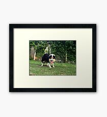 Up and at 'em. Framed Print