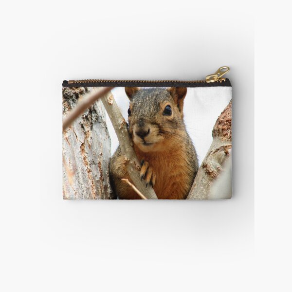 Item preview, Squirrel in a Cottonwood designed and sold by mokacat.