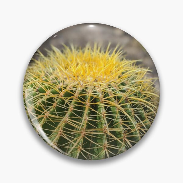 Item preview, Golden Barrel Cactus designed and sold by PrissDodrill-86.