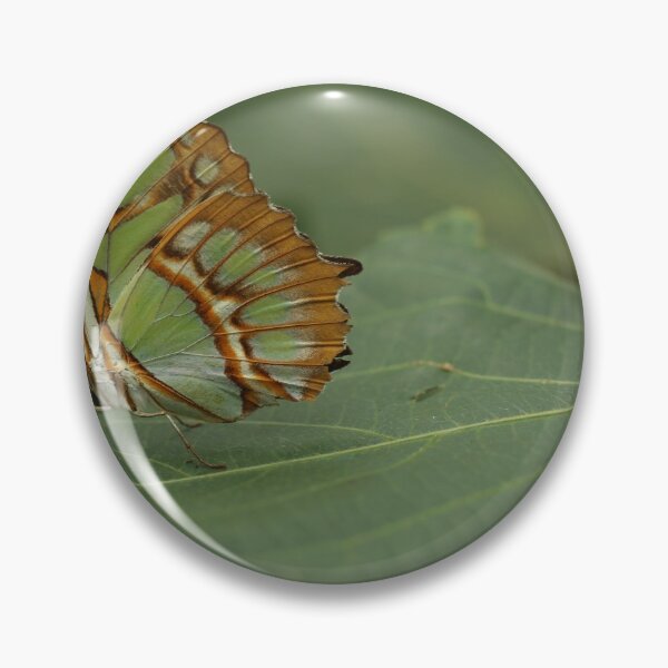 Item preview, Camouflage butterfly  designed and sold by KimhengFineArt.