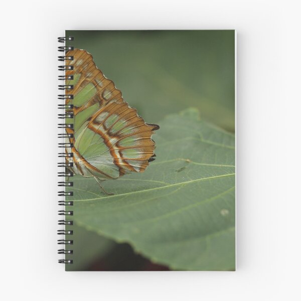 Item preview, Camouflage butterfly  designed and sold by KimhengFineArt.