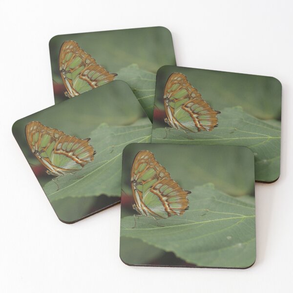 Item preview, Camouflage butterfly  designed and sold by KimhengFineArt.